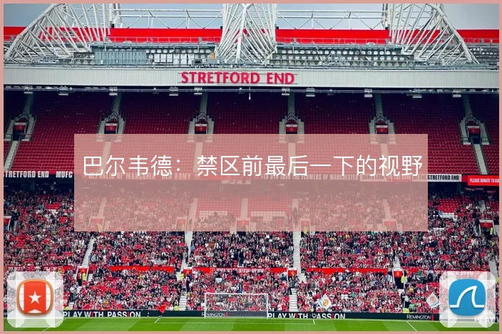 巴尔韦德：禁区前最后一下的视野