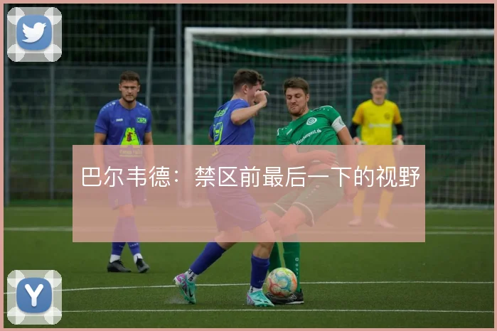 巴尔韦德：禁区前最后一下的视野